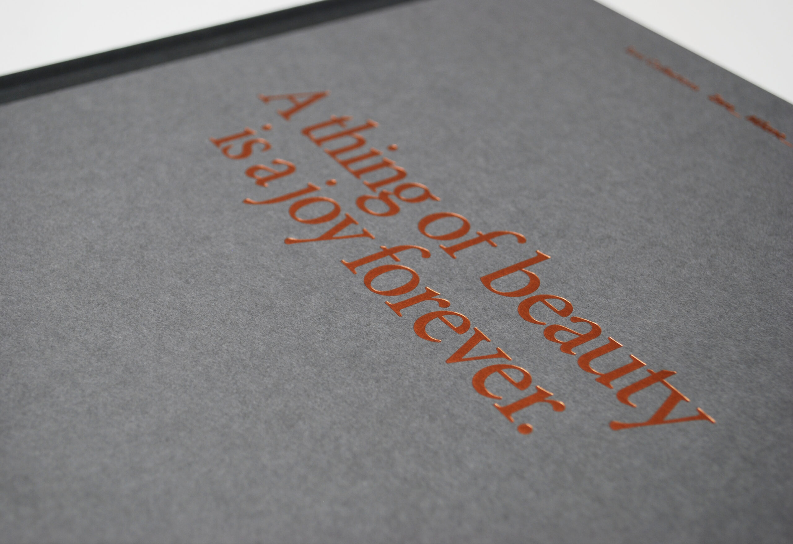Romanoassociati_Behance_Immagini_Turri_cat_foto2