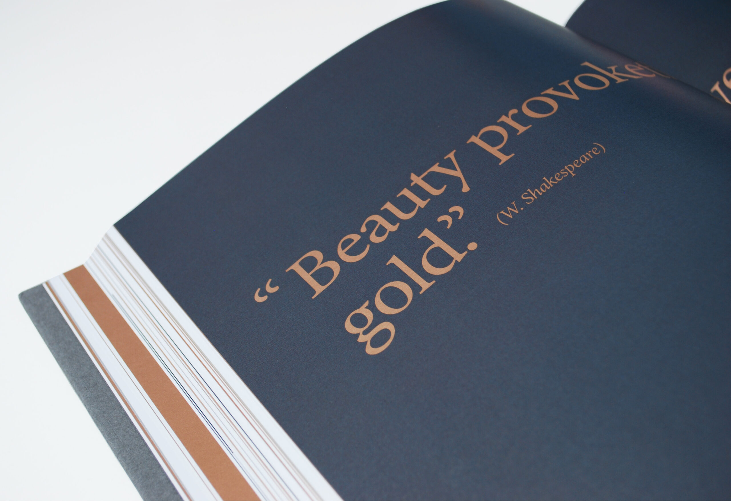 Romanoassociati_Behance_Immagini_Turri_cat_foto5