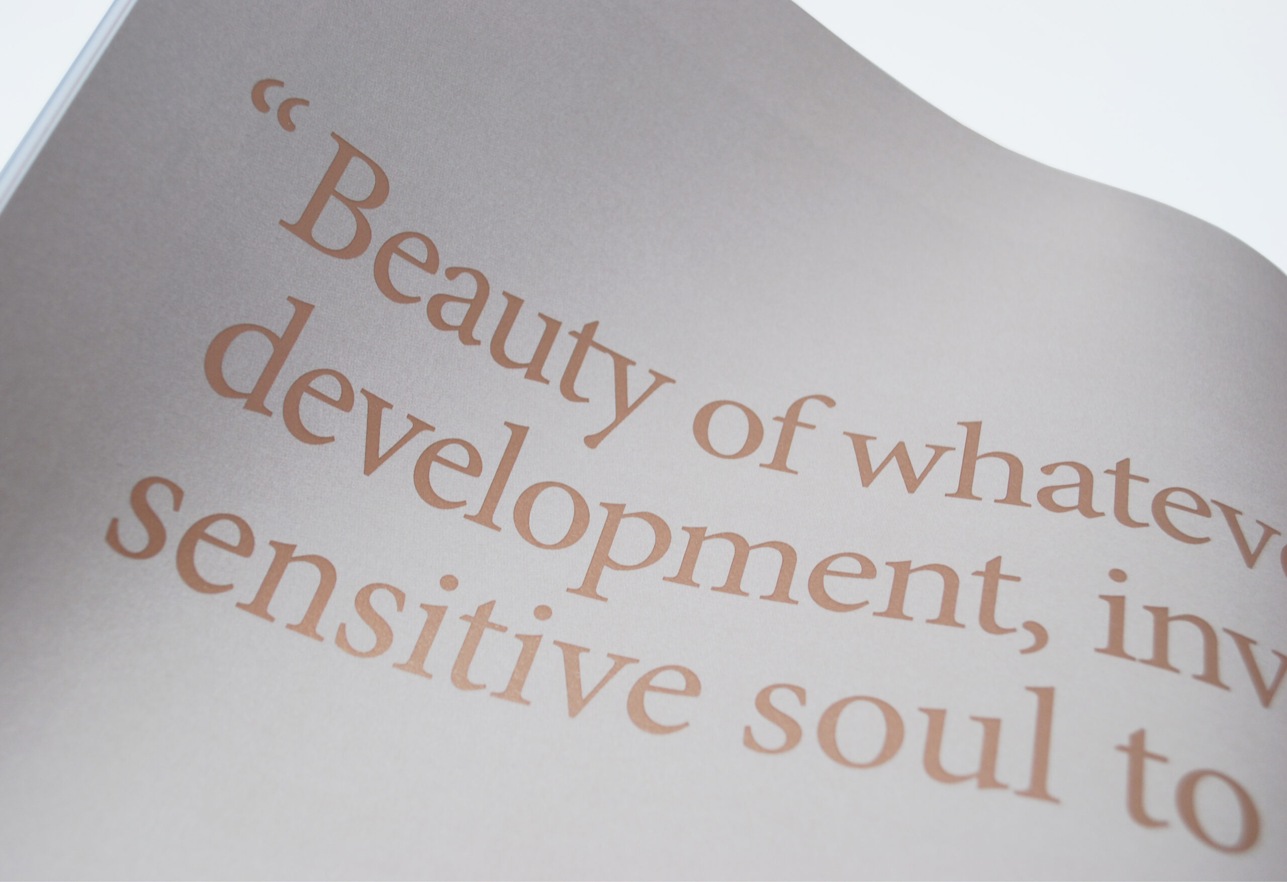 Romanoassociati_Behance_Immagini_Turri_cat_foto6