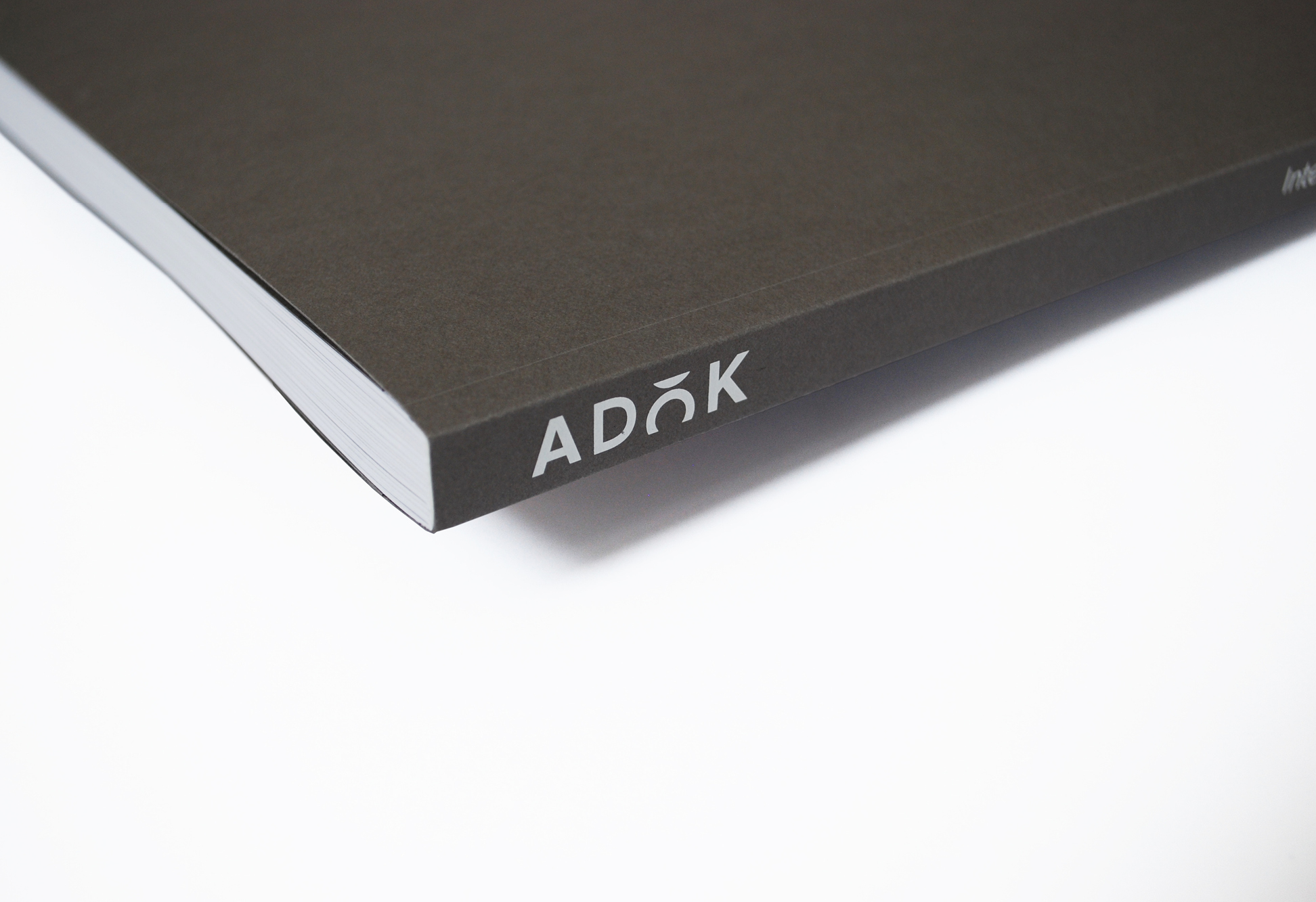 Romanoassociati_Behance_adok19